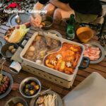 اجاق گاز چند منظوره نیچرهایک CNH22CJ007